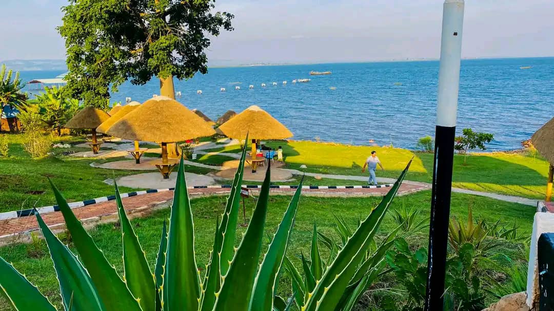 JanineMusisi's tweet photo. They say beauty lies in the hands of the beholder but some beauty cuts across.Enjoy the view https://t.co/GRR4jWd1OG