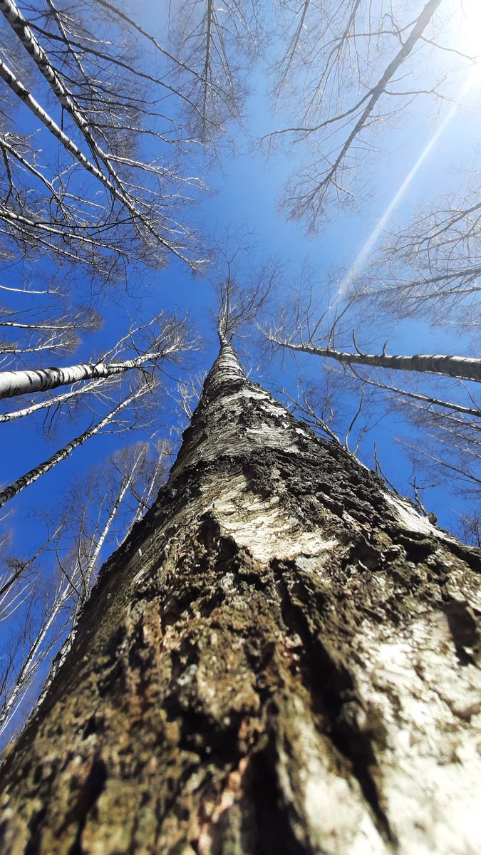 digital_zajac's tweet photo. The artist always looks for beauty in small things and looks for inspiration in nature
#nft #nftaft #NFTCommmunity #lifeeveryday https://t.co/JtnzvO3AeU