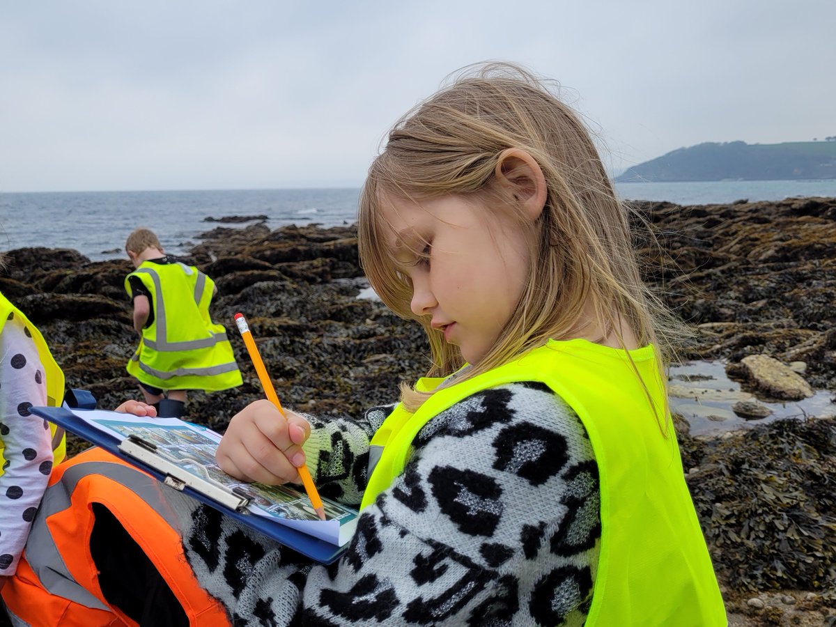 rockpoolproject's tweet photo. Another fantastic day with #time2move. All of the kids were so enthusiastic.
One really loved Patrick the starfish, another knew so much about rock pools, and a lot of them were very excited with โI FOUND A CRAB!โ
#day3 #tunnelbeach #therockpoolproject @T2MHolidayProg https://t.co/NRkgYAuUNZ