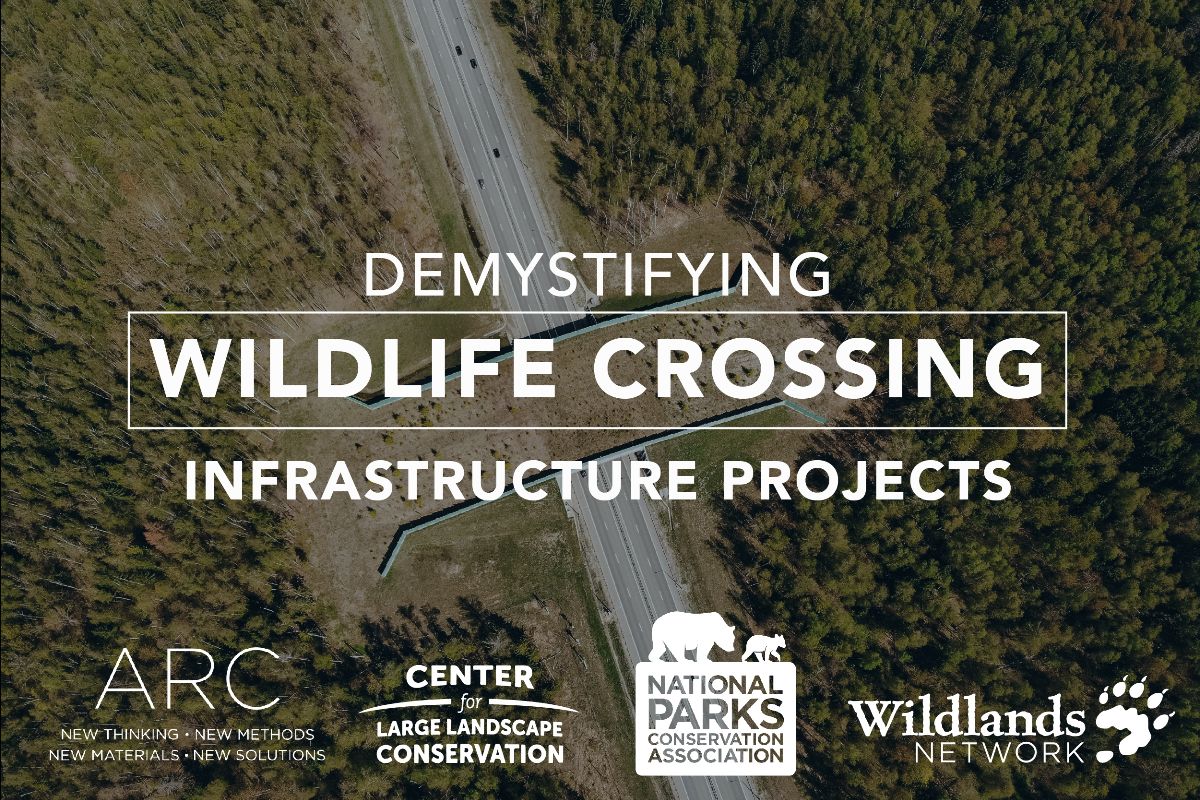 Upcoming webinar series: Demystifying Wildlife Crossing Infrastructure Projects
mailchi.mp/704ad4d951d5/d…