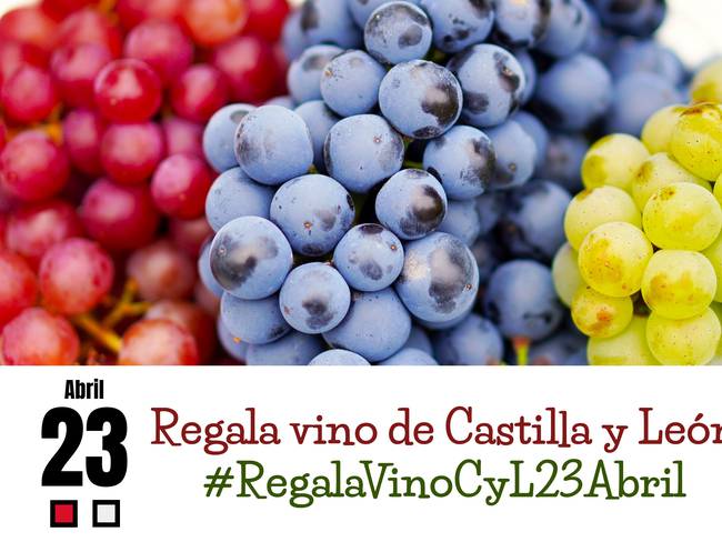 #regalavinocyl23abril para celebrar el día de #CastillayLeón, una gran iniciativa del Ayuntamiento #LaSeca que apoyamos desde #LosQuesosdeJuan #MedinadelCampo