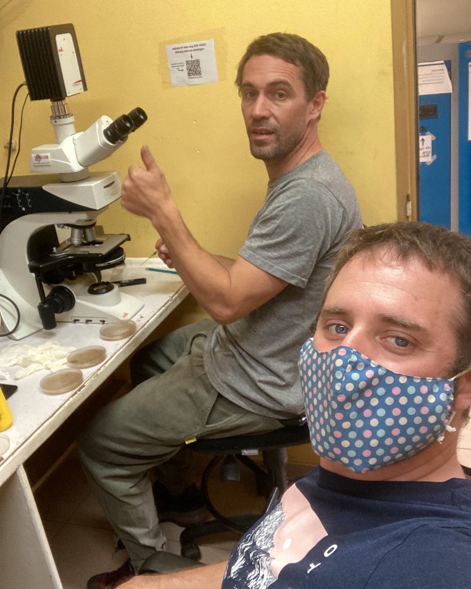 In the lab with Andres de Errasti. #ophiostomatoidfungi #ambrosiabeetles