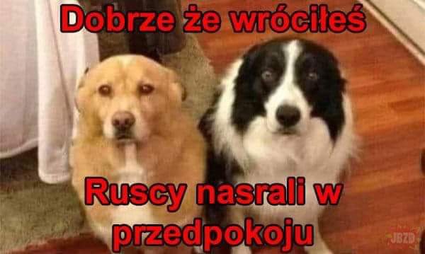 drSWBB tweet picture