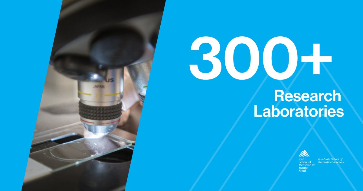 GradSchoolSinai's tweet image. Did you know that we have more than 300 research laboratories at the Graduate School of Biomedical Sciences at the Icahn School of Medicine? Learn more about what makes us a leader in biomedical research and health-science training: fal.cn/3nYxD