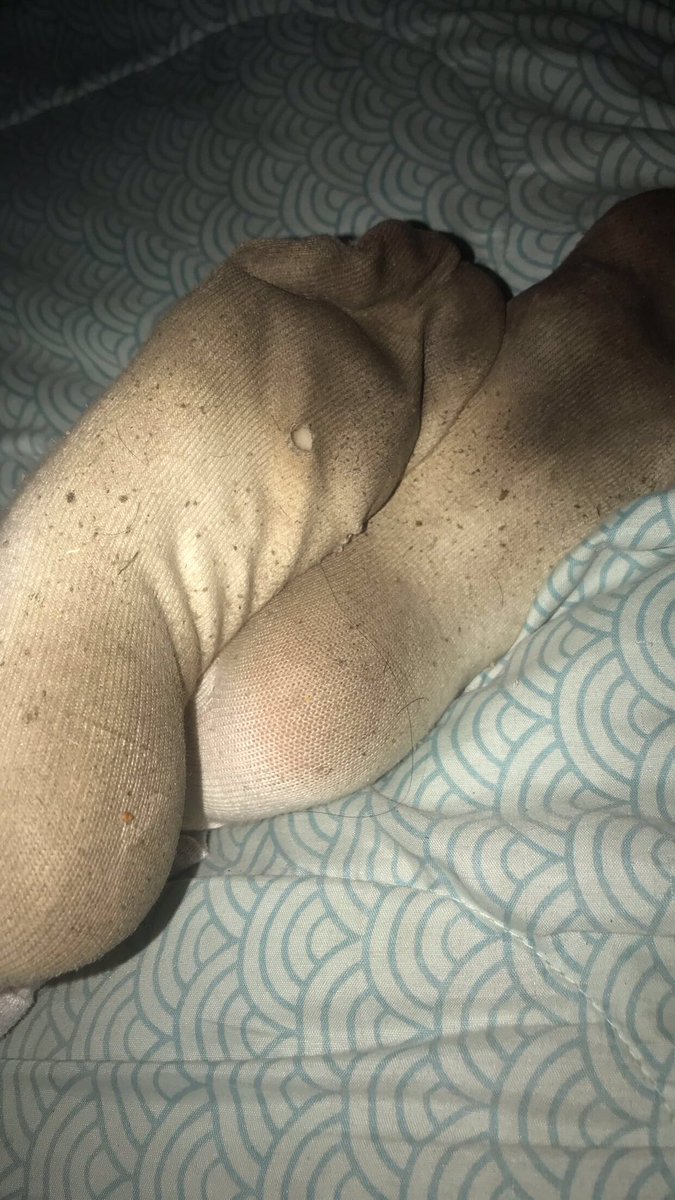 GoddessCrystal Backup 💋 (@footgoddess2022) on Twitter photo Thigh high (used to be white) socks for sale!! 💁♀️
Approach with offers, they smell vile and I’m tired of it 🤮
• findom finD femdom finsub paypig humanatm goddess feet toes soles footworship sockfetish socksniffer sockslave • <a href="/FootParadiseRT/">#FootParadise RT Group</a> <a href="/rt_feet/">Feet RT PROMO (Road to 100K)</a> <a href="/promo_pathetic/">Palestinian Pathetic Sissy</a> Thigh high (used to be white) socks for sale!! 💁♀️
Approach with offers, they smell vile and I’m tired of it 🤮
• findom finD femdom finsub paypig humanatm goddess feet toes soles footworship sockfetish socksniffer sockslave • <a href="/FootParadiseRT/">#FootParadise RT Group</a> <a href="/rt_feet/">Feet RT PROMO (Road to 100K)</a> <a href="/promo_pathetic/">Palestinian Pathetic Sissy</a>