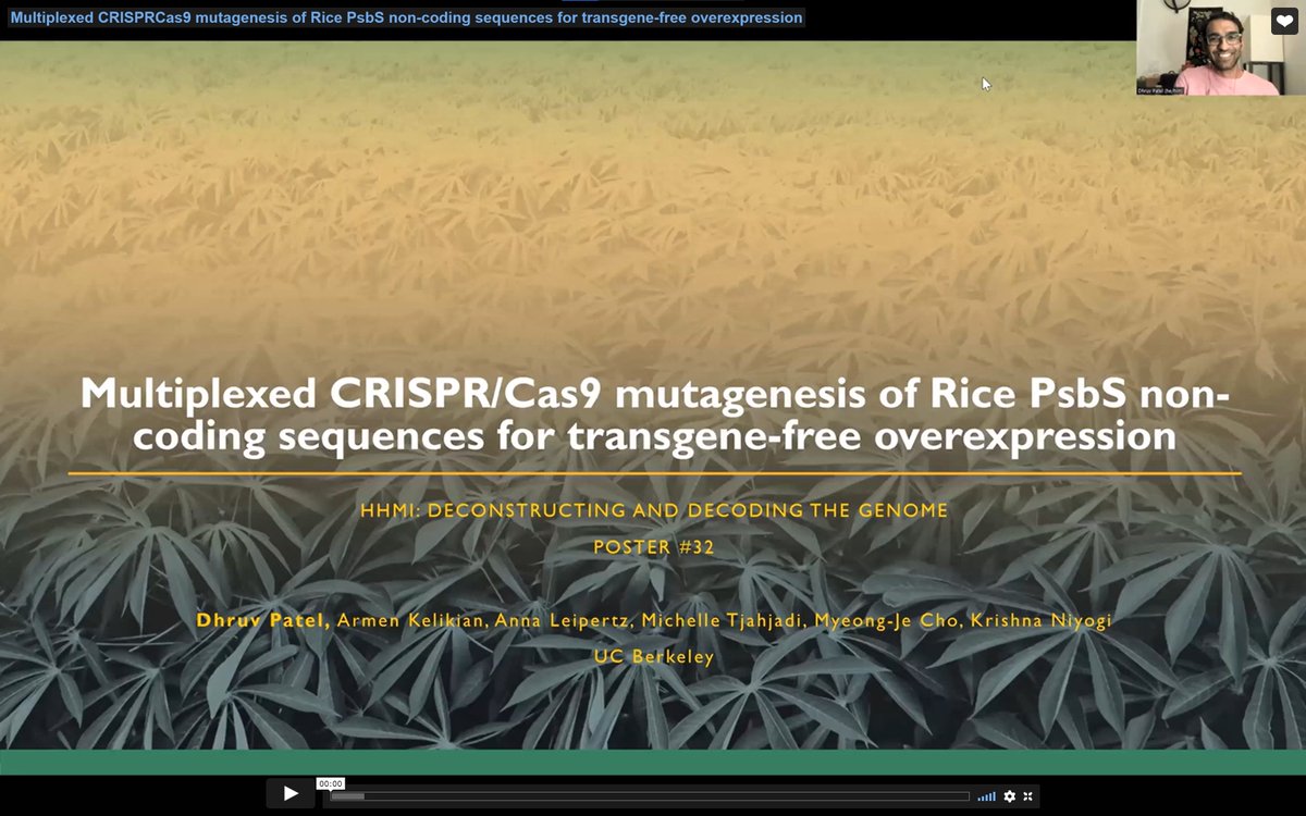 RIPEproject's tweet photo. #ICYMI: RIPE’s Dhruv Patel from @UCBerkeley presented a talk at the virtual HHMI: Decoding and Deconstructing the Genomic Conference. Congrats, Dhruv!
#RIPEproject #RIPEresearch https://t.co/xjGvzOvDxI