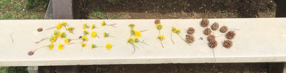 Check out these great kindness messages, made from items found in nature! <a href="/FernHillES/">Jenni Southmayd</a> #EveryoneCanCreate #WCASDCreates <a href="/AMelansonWCASD/">Ashley Melanson</a> <a href="/SamZ_ITC/">Sam Zang</a>