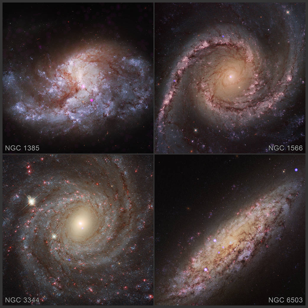NASAExoplanets's tweet photo. From the ground, the space that we see can look calm and serene. The reality is anything but. Astronomers recently observed black holes eating stars -- stellar destruction on a scale that has rarely if ever been seen before. https://t.co/wbdzEhXQN9 https://t.co/UfhF0fdZSB