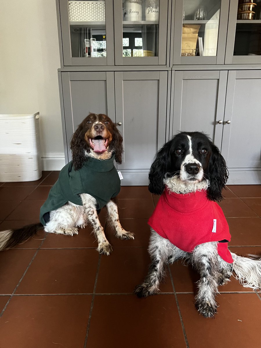 It’s worth having dogs just so that you can buy them snuggly  dog dressing gowns for when they get out of the bath…