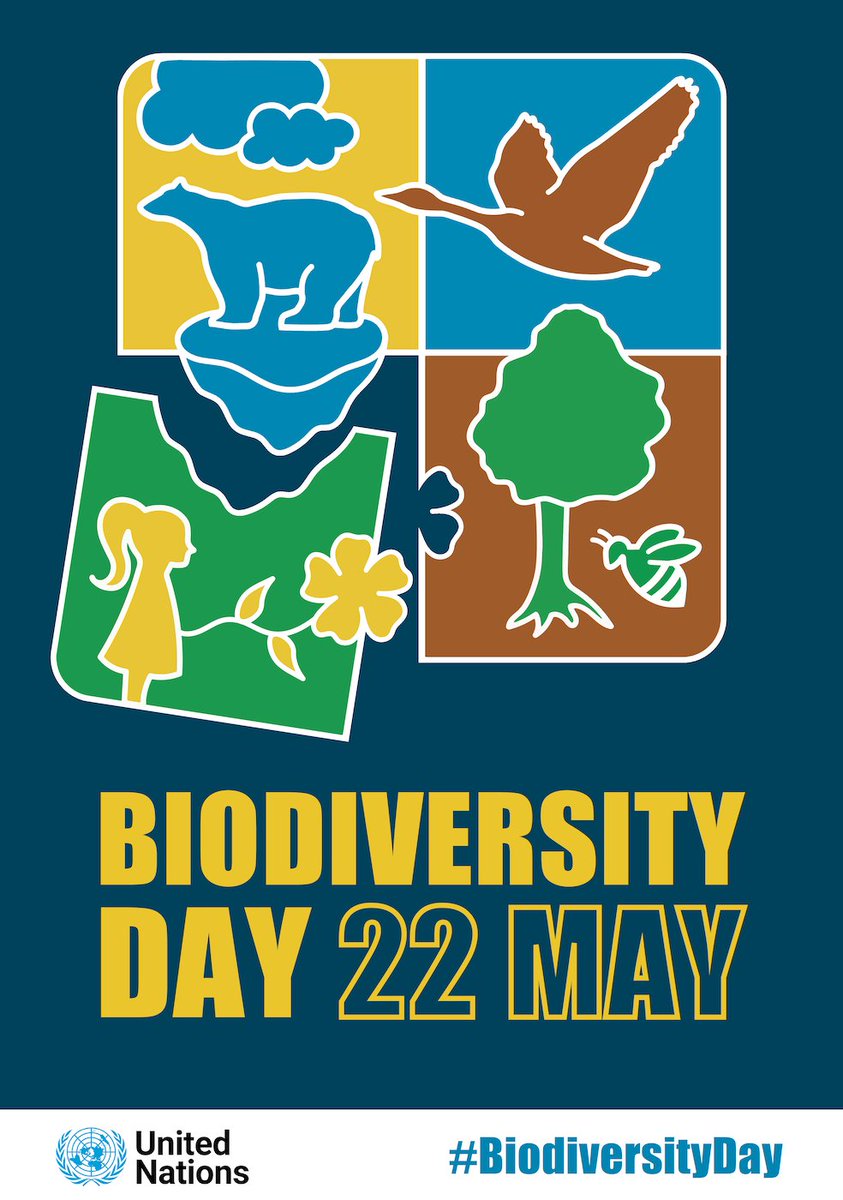 UNBiodiversity's tweet photo. 22 April is #EarthDay — which also marks exactly one month before #BiodiversityDay on 22 May! 

🐞🦀🦊🐠🌳🦠🦚🐳🐌👣 

Today and every day, let us commit to protecting #biodiversity — the fabric of life on Earth.

Learn more: https://t.co/7i6eNiroCP

#ForNature #EarthDay2022 https://t.co/Bkfk1UPr8G