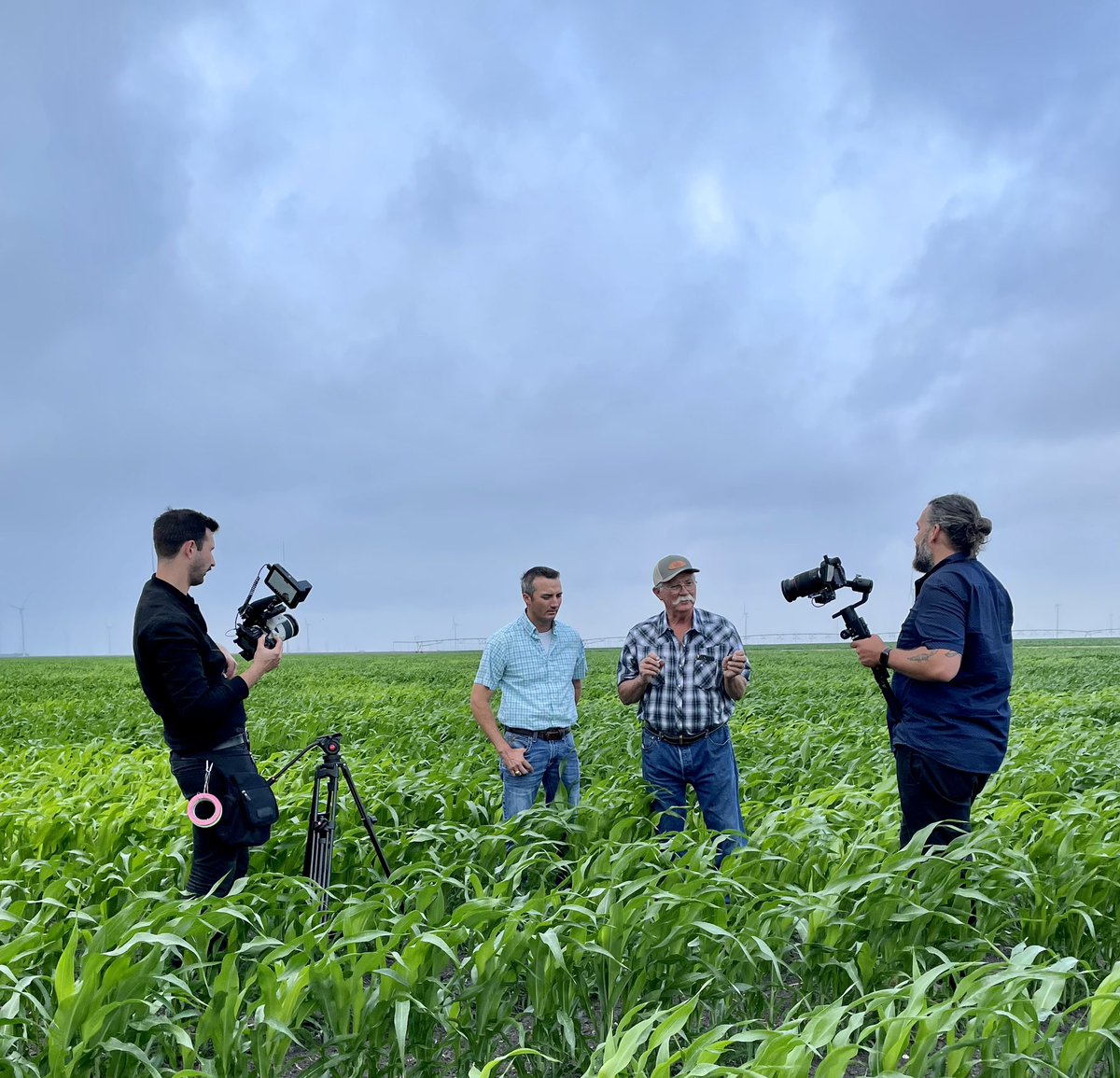 On <a href="/c_chopelas/">Colin Chopelas</a> farms north of Corpus Christ, TX today putting together a video for export customers.  Send a rain.  #sorghum