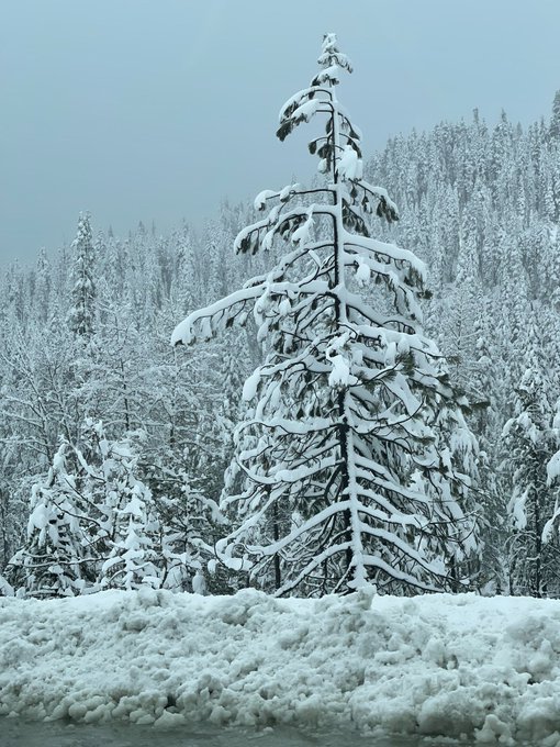 I can&rsquo;t believe there is still THIS much snow in California right now. It&rsquo;s almost May! ☃️ https://t<a href="/tag/selfie"class="tags"><span>#selfie</span></a>