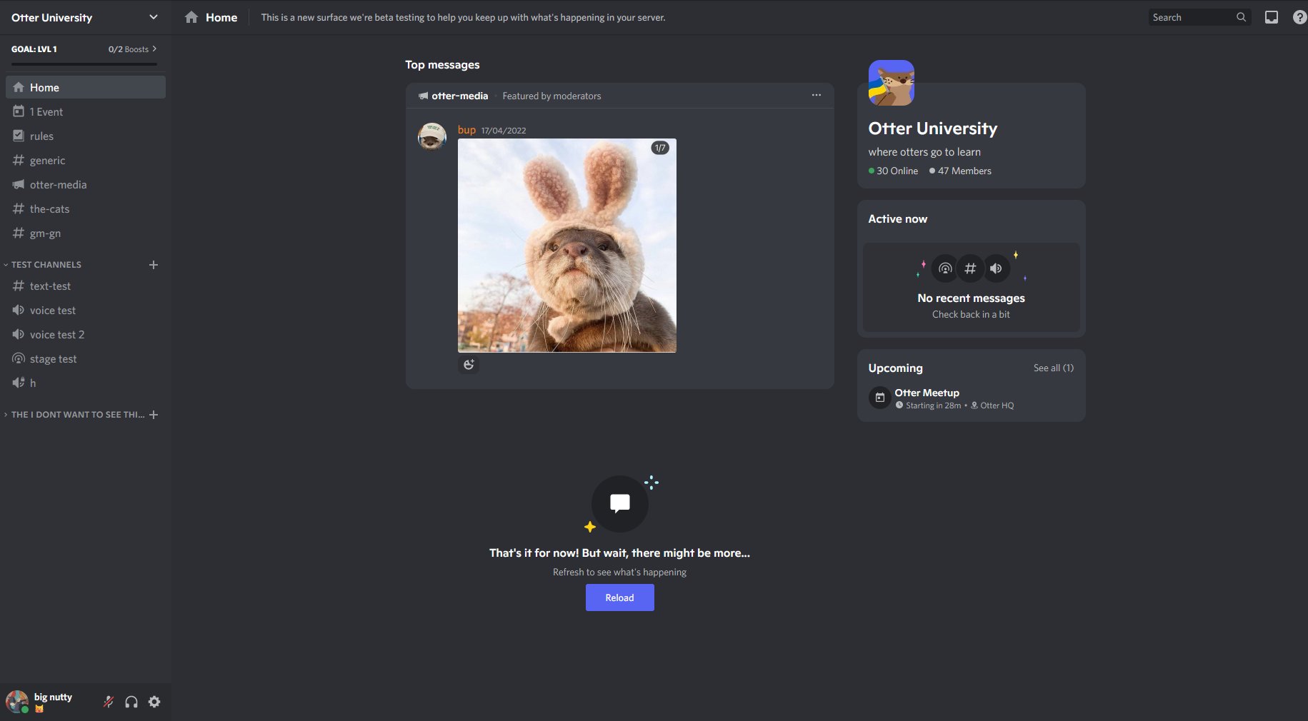 Discord Servers - Home