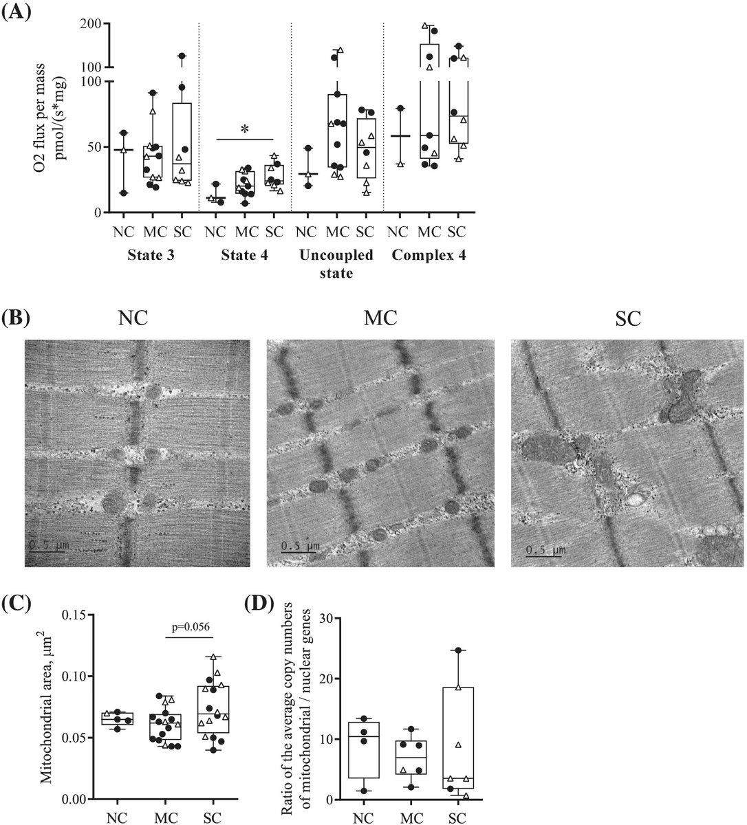 JCSM_cachexia's tweet photo. @Adeline_Dolly et al. report for the first time an increase in mitochondrial energy wasting in the in pectoralis major muscle of severe cachectic cancer patients! #skeletal #muscle https://t.co/yr9jXyUe5k