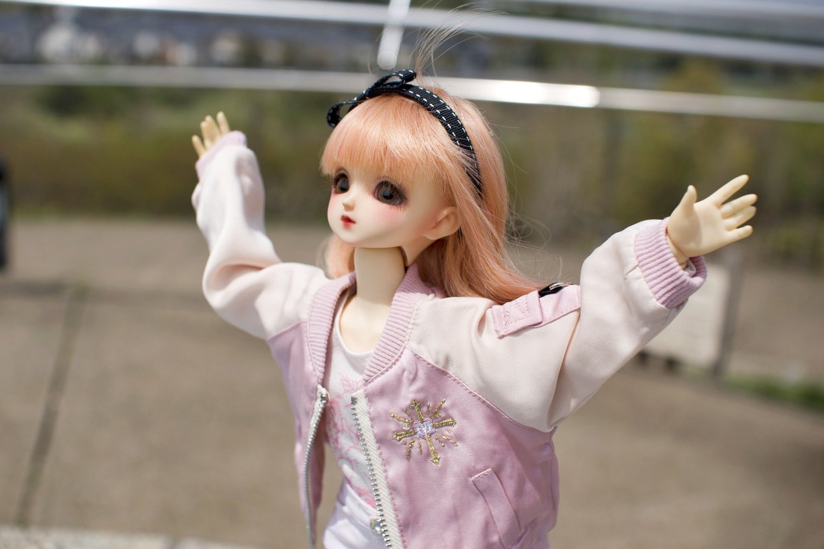 早い者勝ち!SD真紅ウィッグ美品スーパードルフィー ローゼンメイデン ボークス