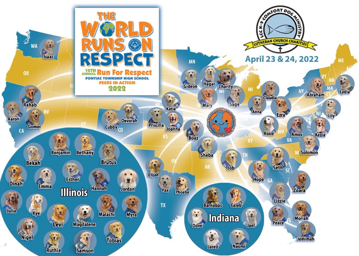 LCCK9Anna's tweet image. Comfort Dogs Anna, Ezra, and Claudia are excited to join the Run for Respect this weekend. We will meet up at Trinity Lutheran Church (4560 Glendale) Saturday at 10:00 am and drive to our walk location. Come join us! ❤️🐾#RunForRespect #LoveInAction @K9ComfortDogs @TrinityToledo