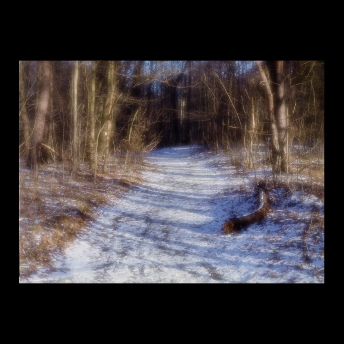 snapthisview's tweet photo. Forgotten forest winter

#analogphotography #analog #forgottenforest #snapthisview #mediumformat #photo #photography #filmphotography #winterphotography #winter #mystery https://t.co/g6Vl2qa5Ud