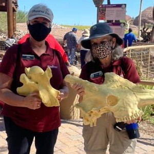 phoenixzoo's tweet image. Happy #NationalVolunteerAppreciationWeek!

We are thankful for our volunteers past, present and future who support our staff and mission of “providing experiences that inspire people and motivate them to care for the natural world.”