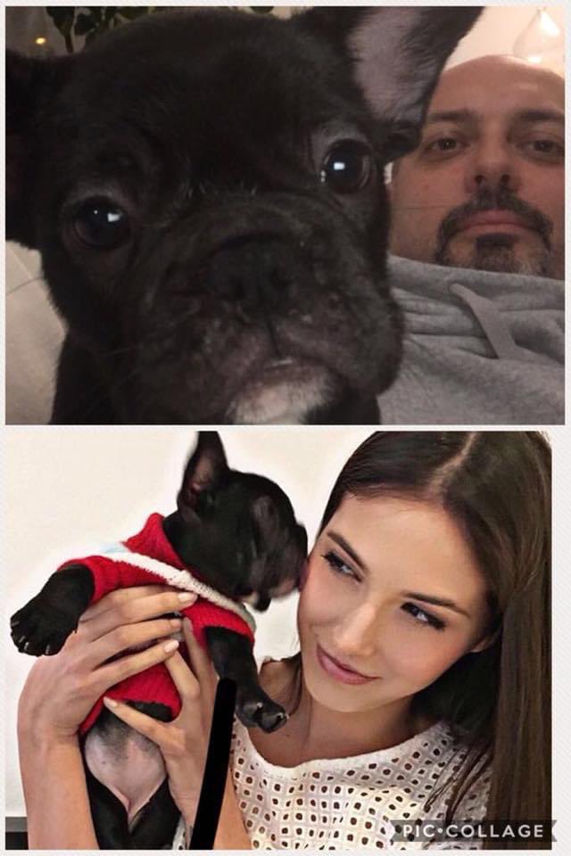 Trova le dodici sottili differenze 😁 #frenchbulldog #cani