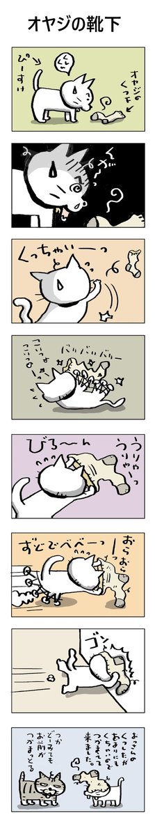 オヤジの靴下
#こんなん描いてます #自作まんが #漫画 
#猫まんが #4コママンガ #NEKO3 