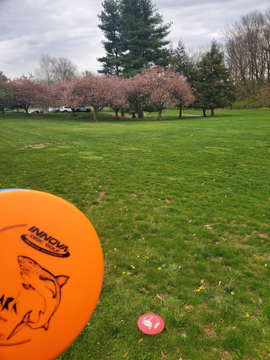 Stevo_34 tweet media