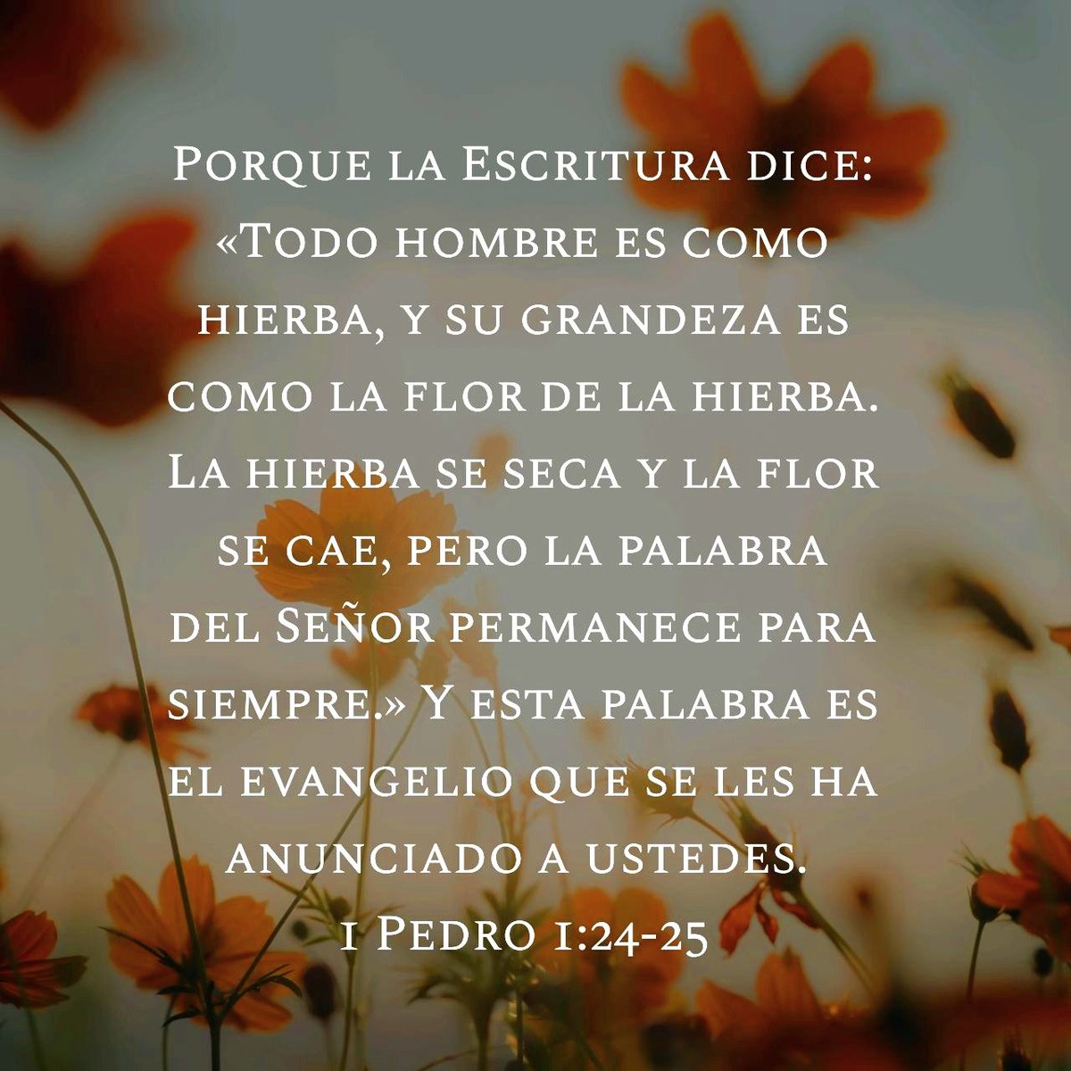 moisesaponte's tweet photo. Su palabra es la única que nos dará seguridad en éste mundo enfermo... #EsperanzaParaUnMundoEnfermo del 23 al 30 de abril por @HopeChannel_IA https://t.co/eaieNjCR2q