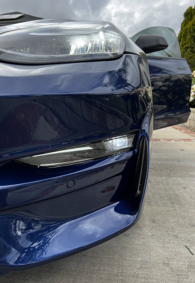 Andrew Petrella tweet media