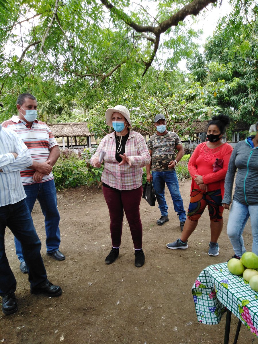 ETurruellas's tweet image. Visitamos la comunidad seleccionada para concretar el #AutoabastecimientoAlimentario #Mapos del municipio #LaSierpe. Avanza la producción sostenible de alimentos @MINAGCuba @YdaelB @MMarreroCruz @JorgeLuisTapiaF