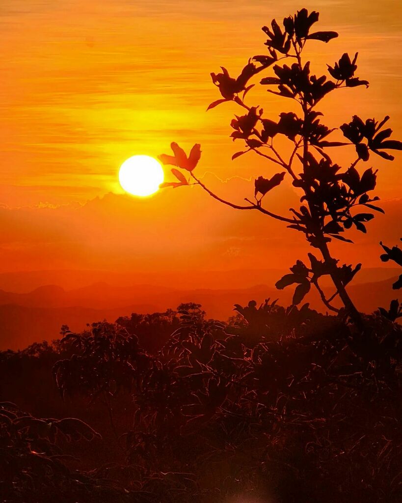 showmetechbru's tweet photo. Sunset da Chapada #chapadadosveadeiros #valedalua https://t.co/KtjwEXEDYL https://t.co/INT28HXfpS