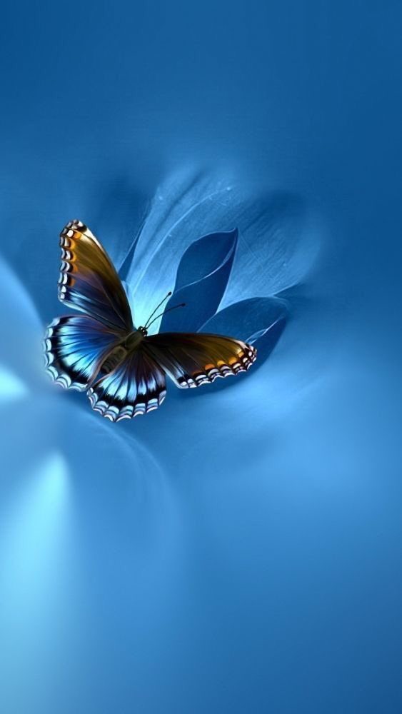 RosaNegra_08's tweet photo. @otrogoga60 @Cathhewat123 @Justina_LGND @Angel_Stockler @LadyYAZNE @LIONXCL3W @THE_LGND_ @Angel__LGND @WALLI27 @byhaluk3 @nena_bovb51 @GTX3O @G16 @_90_ @K2T ✾#Ꮩ̼̐͜͡Ꮠ͋͢Ꭾ
✾#LGND
✾#KENN3N
✾#AdryDrive
✾#HOMEL3ND
❈@Justina_LGND
✿@Angel_Stockler
✴️@Cathhewat123
✿@LadyYAZNE
❈@LIONXCL3W
❈@THE_LGND_
✿@Angel__LGND
✴️@WALLI27
❈@otrogoga60
❈@RosaNegra_08
✴️@byhaluk3
✿@nena_bovb51
❈@GTX3O
✿@G16
❈@_90_
✿@K2T
#FriendsF 💕 https://t.co/8BTCKiJJj6