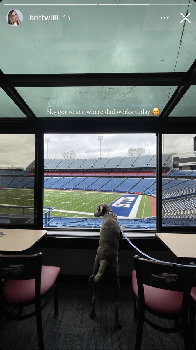 BradleyGelber's tweet photo. Josh Allen’s dog got to see where he works today. This is the content we need more of.

📸: @brittwilllll https://t.co/nQDbj9IS2x