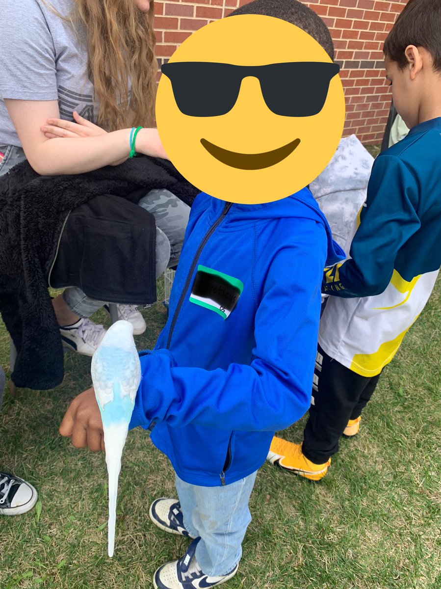 MrsHensonOPS's tweet photo. Thanks OE Student Naturalist class for letting our kinders visit the neat animals today. They had a blast! 🐇🐍🐦 #OlatheEastAnimalTalks #opsmomentsthatmatter #Kinder #CSCardinal https://t.co/sUvyAtJtSj