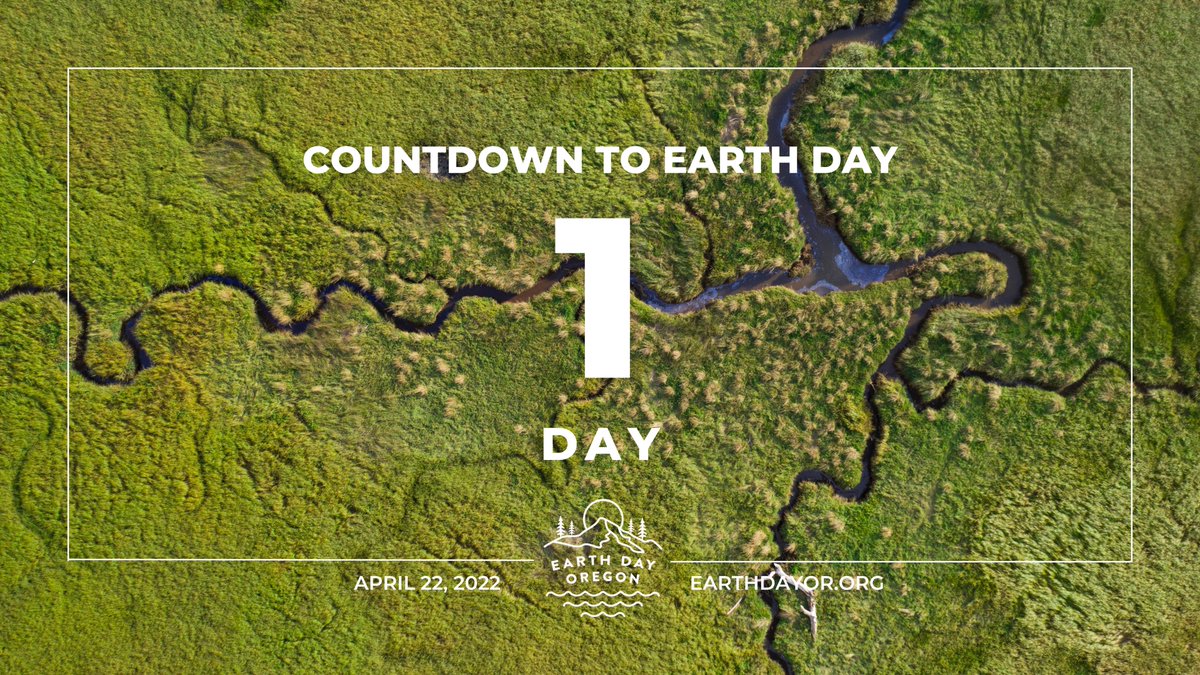 Earth Day is Tomorrow!! Are you hiking with friends for Friends of Outdoor School this Earth Day? Or are you supporting us by supporting our awesome business partners? Learn about all of the ways you can support Freinds of Outdoor School this Earth Day at bit.ly/EDO2022