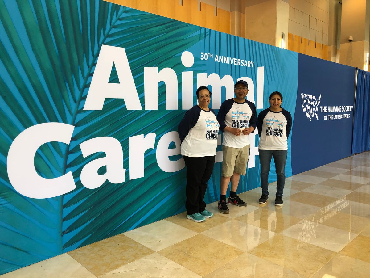 Safe Humane Chicago tweet media