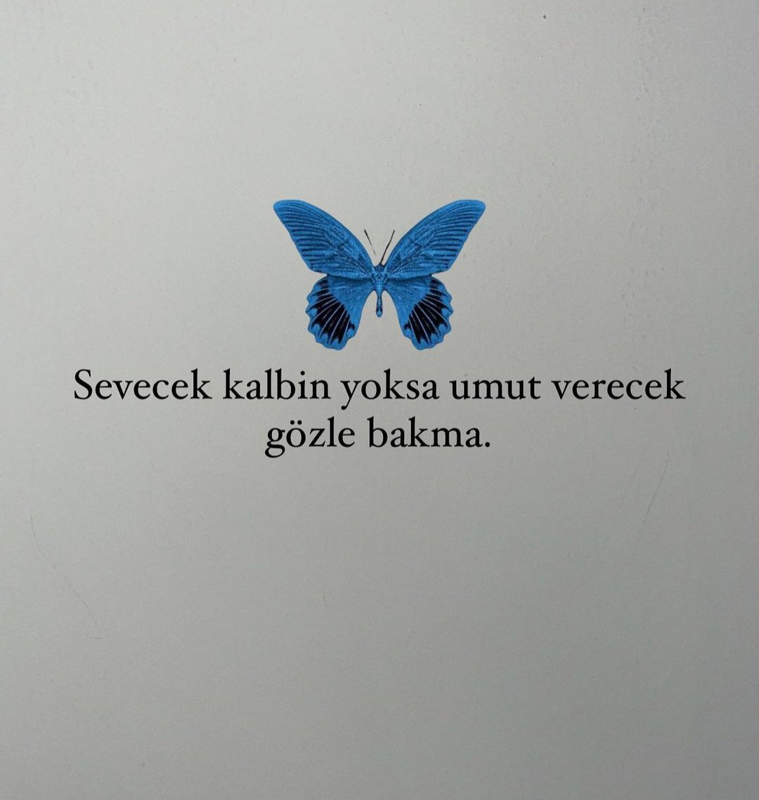 Yakup Atılkan (@yakup_atilkan07) on Twitter photo 