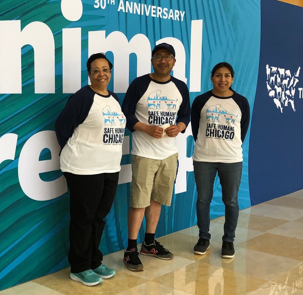 Safe Humane Chicago tweet media