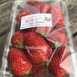 ツイートに含まれる画像