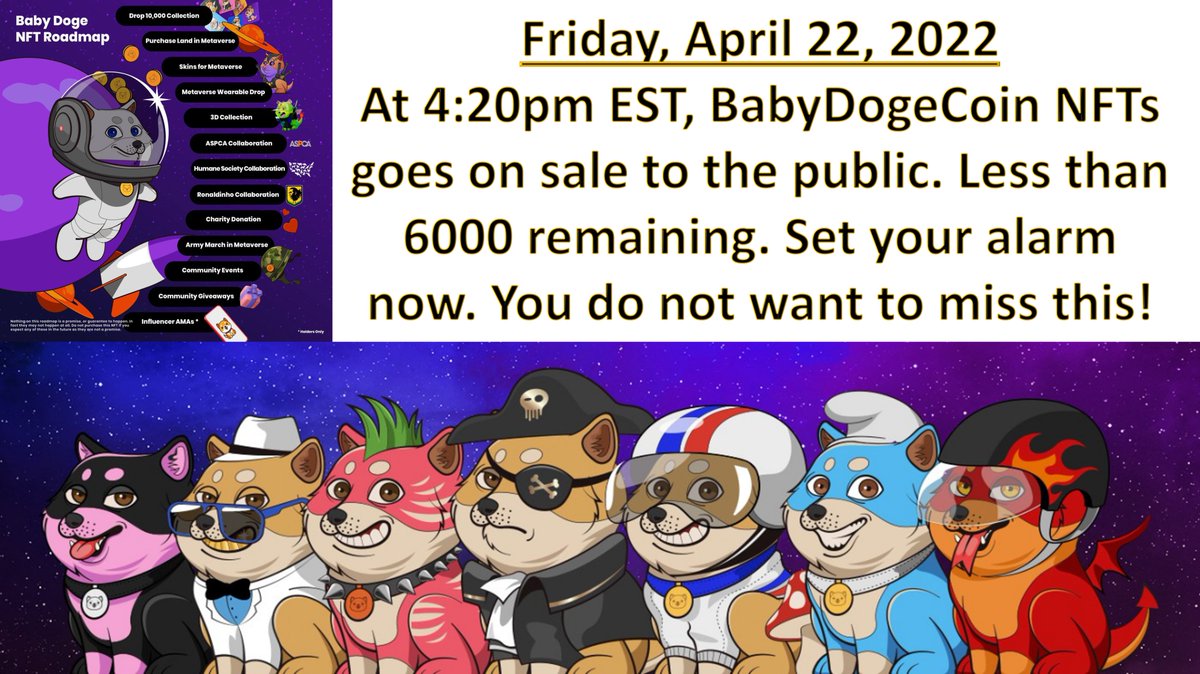 futurebabydoge's tweet photo. @babydoge @babydogenft https://t.co/SsAVVhVT4y