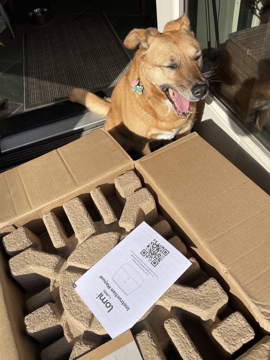 Nelly yawns but I’m excited to unpack my ⁦<a href="/GetLomi/">Lomi</a>⁩ composter at my back door. #compost #garden #recycle