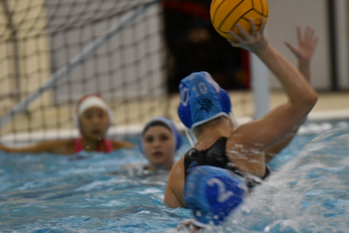 patterson12hawk's tweet photo. @CurtisWaterPolo nice win vs Newport 18-4 https://t.co/Mra6KZ5nkU