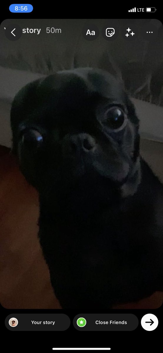 adrian4tbz's tweet photo. Me when she says “can I see your phone ?” https://t.co/6xe61o66xB