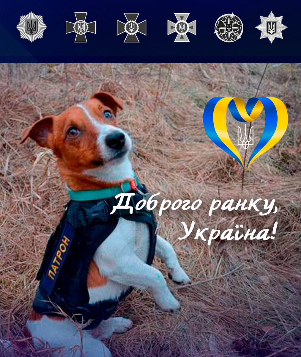 MVS_UA's tweet photo. Добрий ранок, Україно 🇺🇦 https://t.co/YZN6jw0jSo