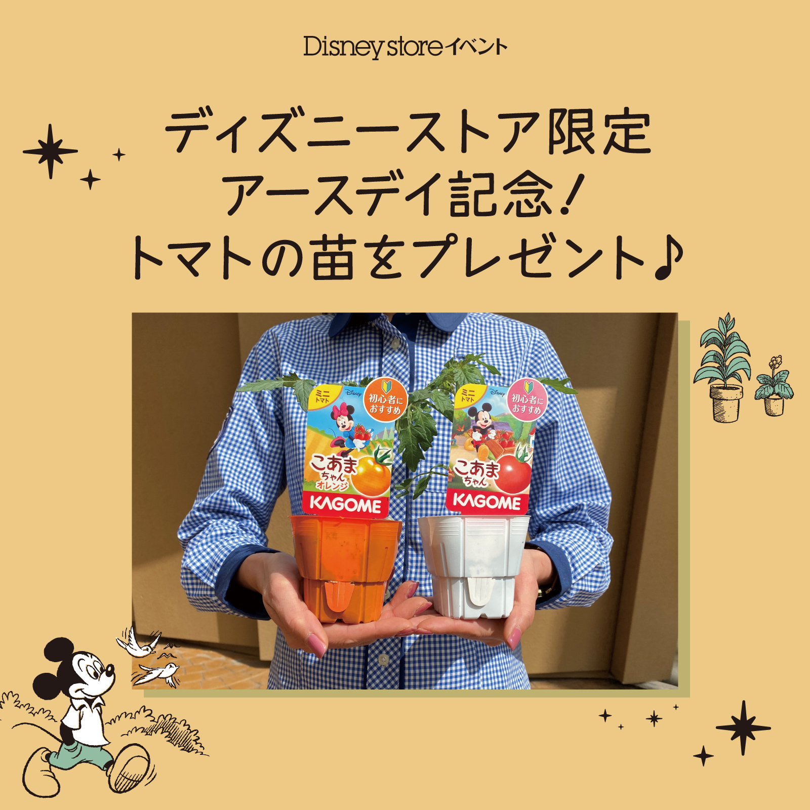 ショップディズニー 4月23日 24日に ディズニーストア でお買い物いただくと キャストとじゃんけん 勝った方に先着でトマトの苗をプレゼント アースデイ をきっかけに ヘルシーな地球環境がもたらしてくれる安全安心な食生活について 楽しみながら