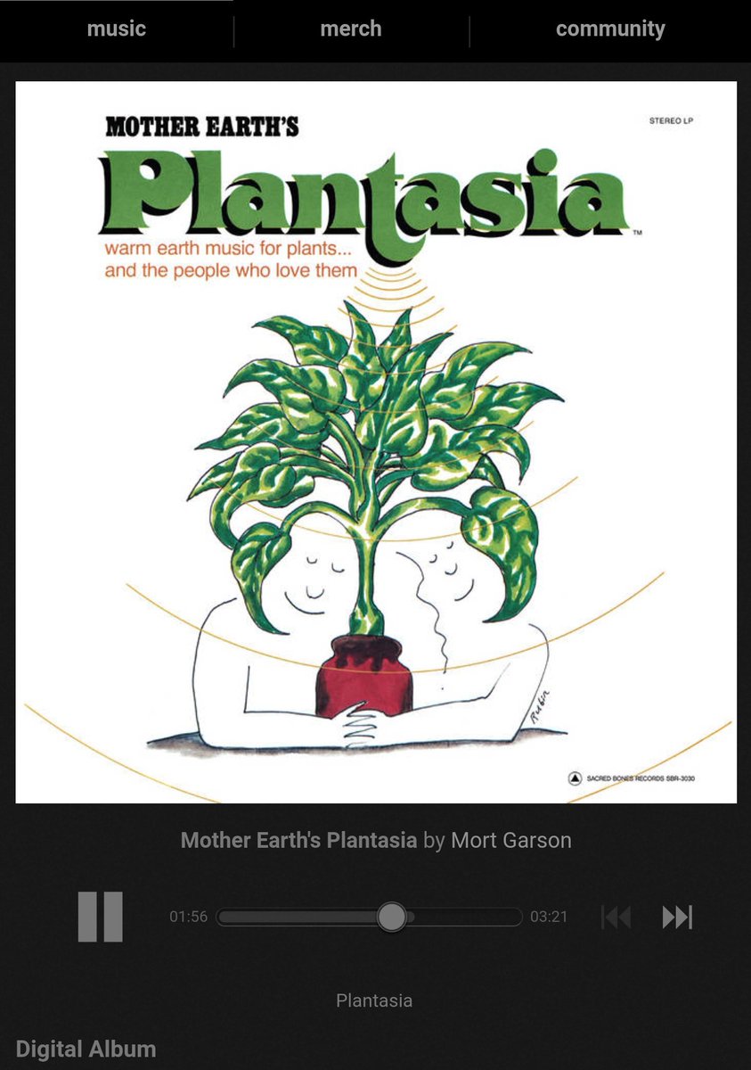 Happy earth day 🌱🌱🌱

#EarthDay #MortGarson #Plantasia