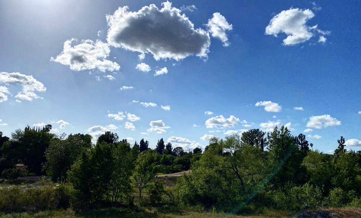 0equalz2's tweet photo. Day 1 of 30 jogging/running 5 miles to get back in shape. I obviously gotta get my bikini body back. 

#running #jogging #exercise #junkinthetrunk #sweaty #bikinibody #blessed #nature #vegantrees #stopreadingthese #loser https://t.co/sJQrsvkQvP