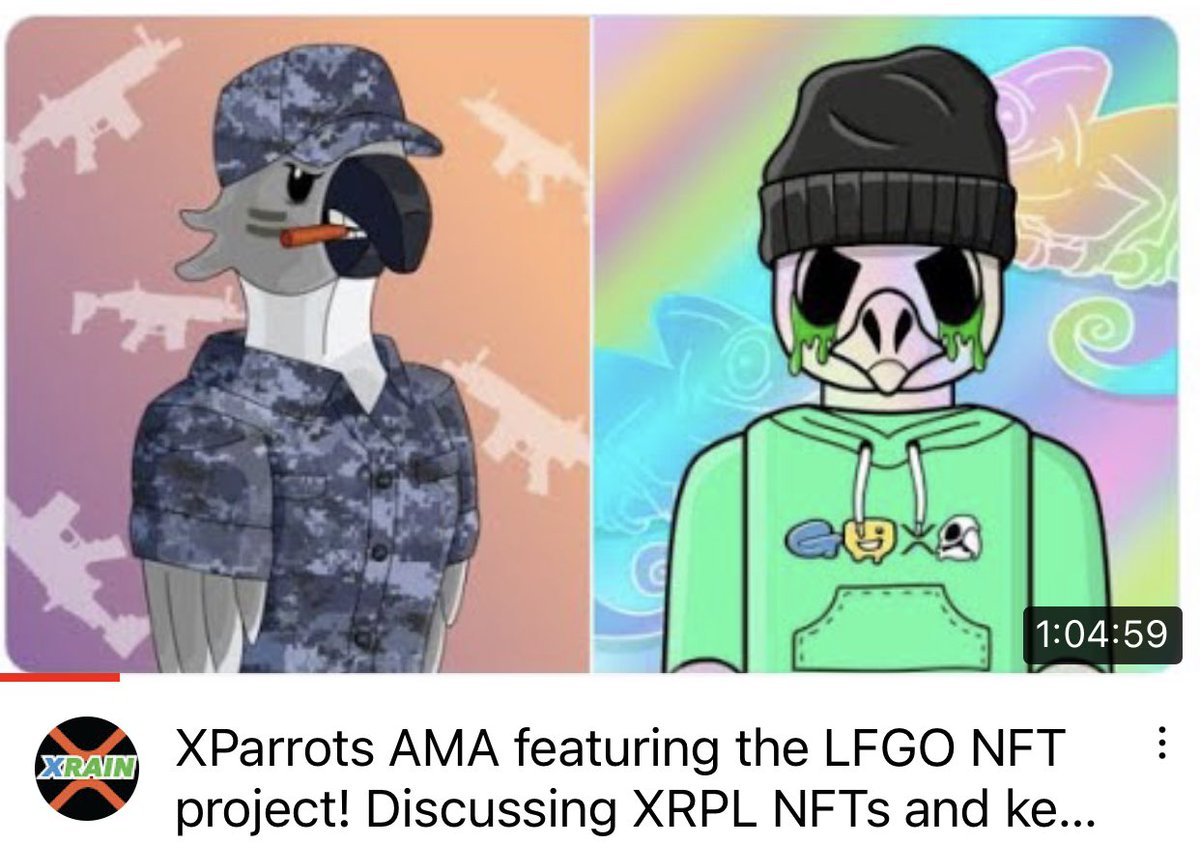🦜XParrots / XRPL tweet media