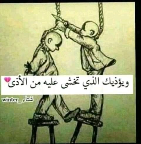 MO ALNOOR tweet media