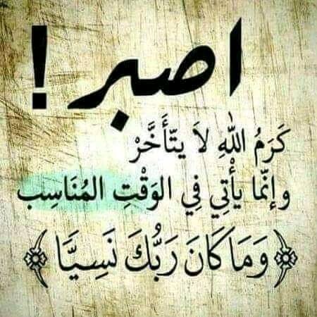 MO ALNOOR tweet media