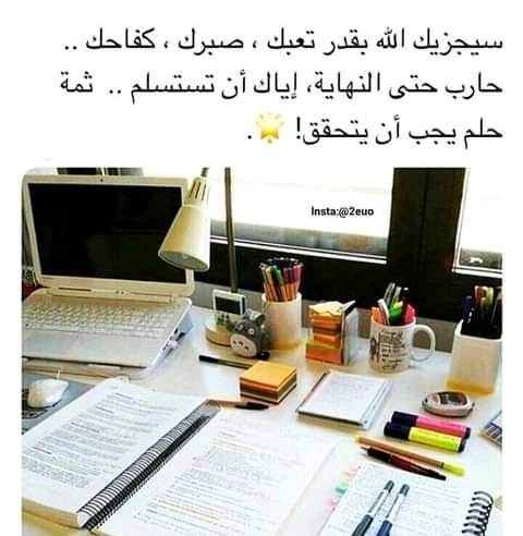 MO ALNOOR tweet media