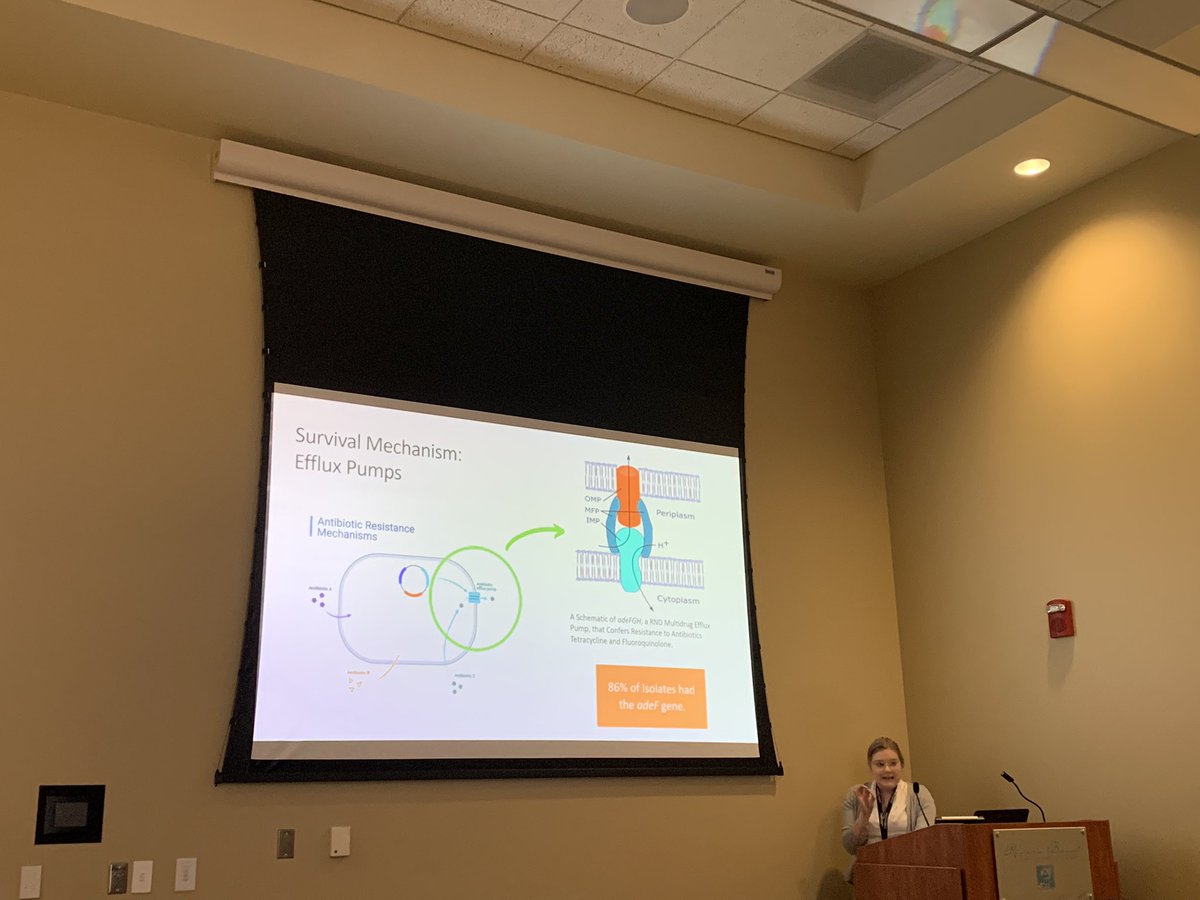 Michelle M. Valkanas tweet media